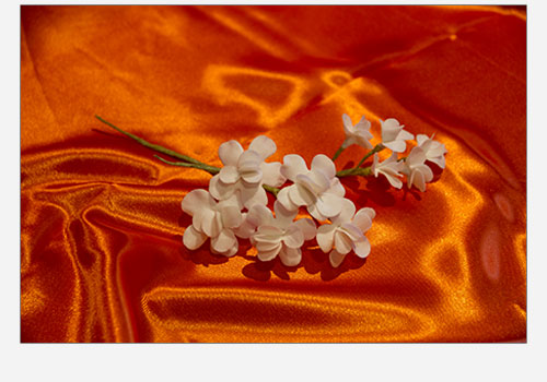 Flores de azucar Fantasia