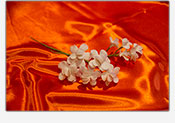 Flores de azucar Fantasia 01