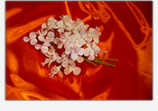 Flores de azucar Fantasia 02