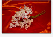 Flores de azucar Fantasia 03