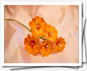 Flores de azucar Primulas